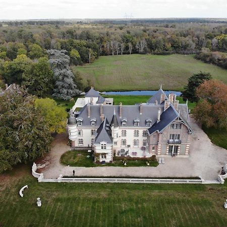 Chateau De La Faye Menetreol-sur-Sauldre Exteriör bild