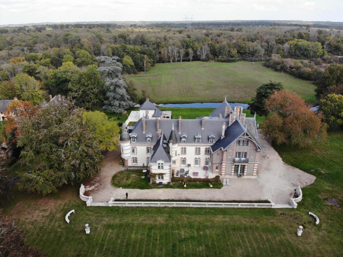 Chateau De La Faye Menetreol-sur-Sauldre Exteriör bild
