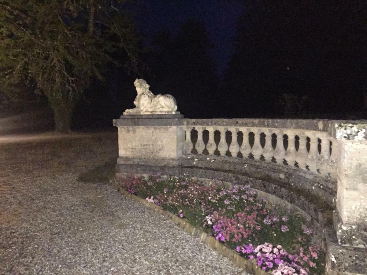 Chateau De La Faye Menetreol-sur-Sauldre Exteriör bild